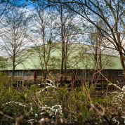 Gaia_Zoo_dino_dome_039