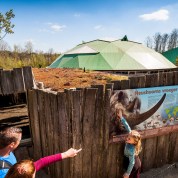 Gaia_Zoo_dino_dome_209